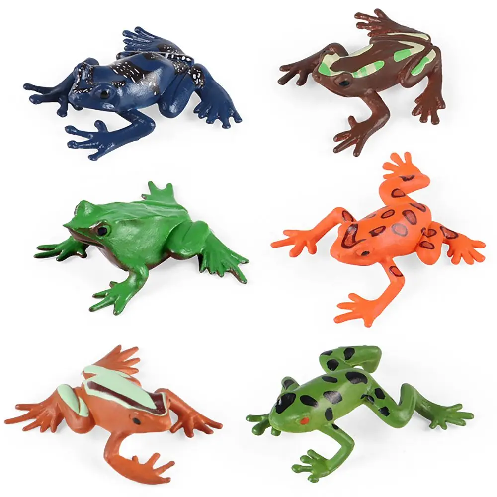 

Zoo Scene Early Learning Realistic Simulation Toad Figurine Amphibious Animal Lifelike Frogs Model Educational Toys