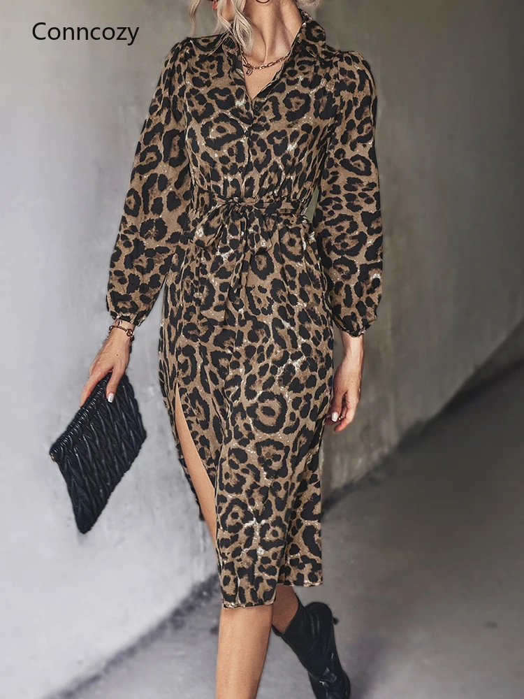 

Women Elegant Printed Slim Fit Party Dress Turn Down Collar Ladies Casual Maxi Dress Summer Long Sleeve A Line Dresses Vestidos