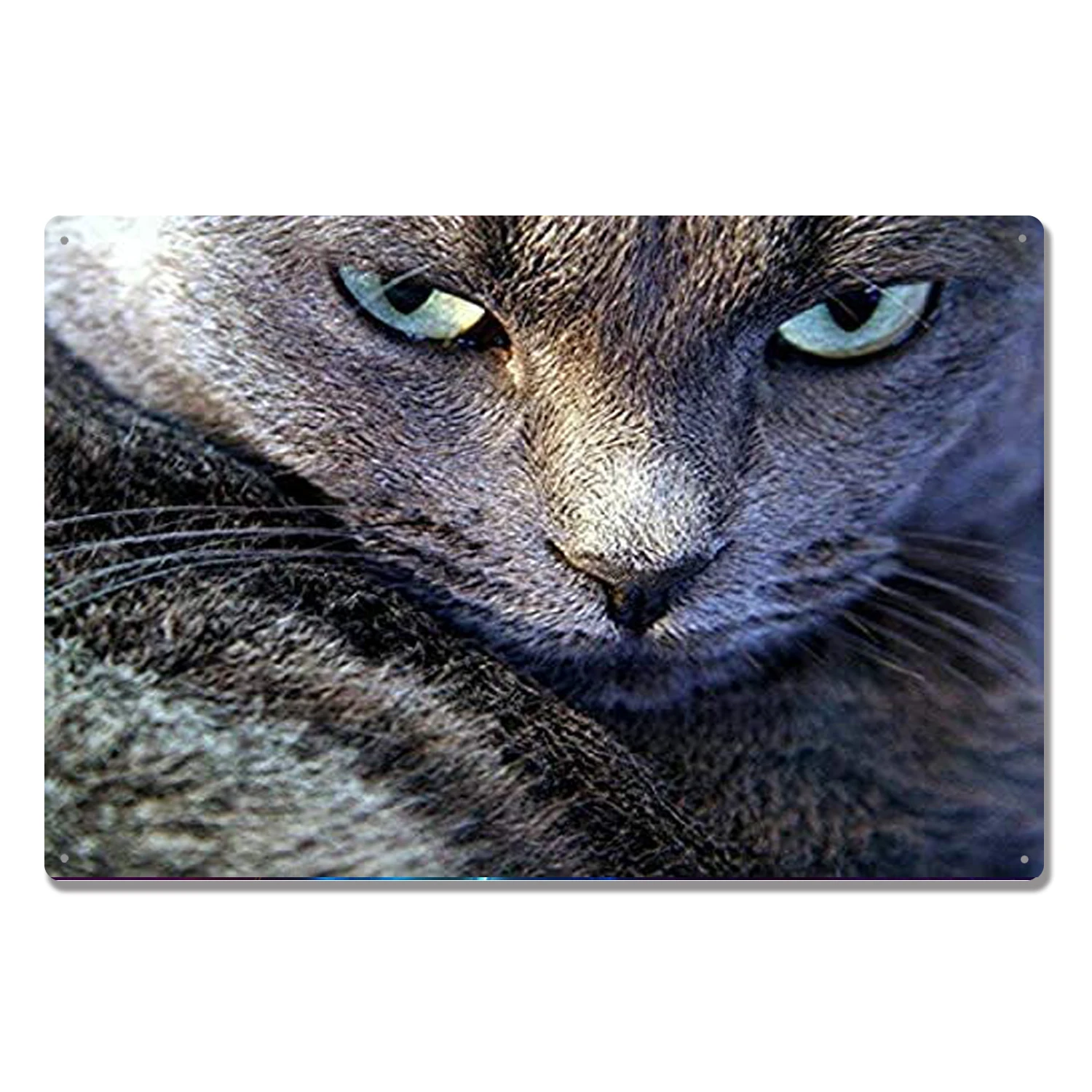 

Металлические жестяные знаки в виде кота и животных, винтажный Забавный домашний подарок на ферму, для ванной, бара, паба, мужская пещера, жи...