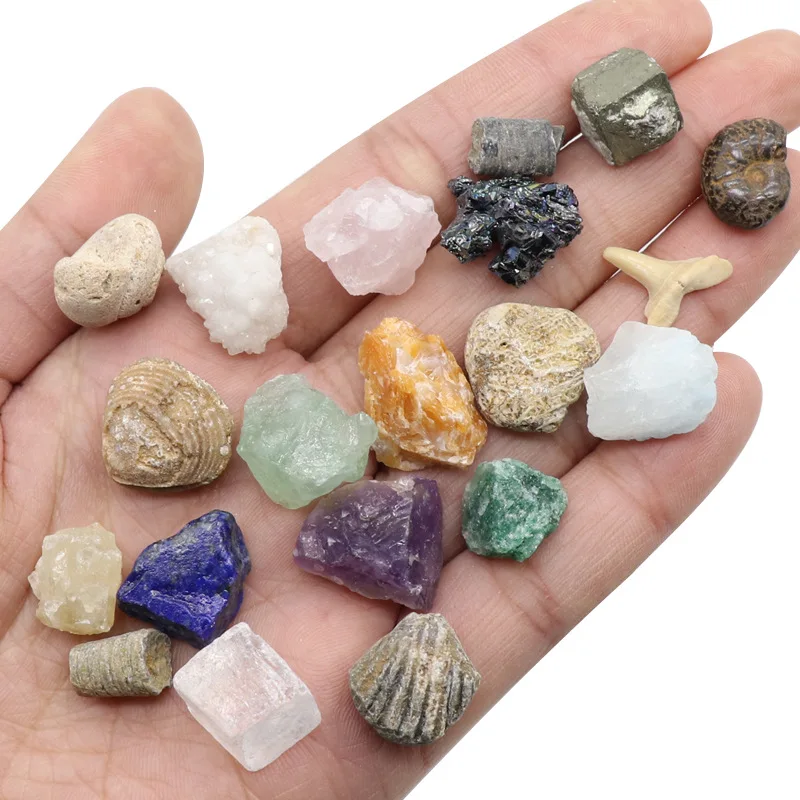 20pcs Natural Crystal Gemstone Polished Healing Chakra Stone Raw Ore Crystals Samples Teaching Materials Home Decoration |