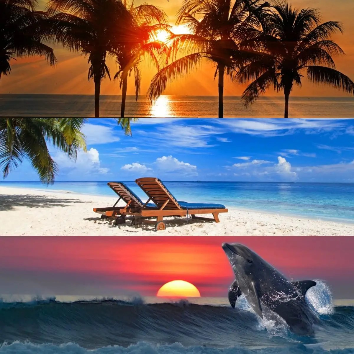 

3 Toalhas de Praia Gigante Sublimada 80 x160cm Resistente e Não Desbota (Variadas) car wash clean detailing towel