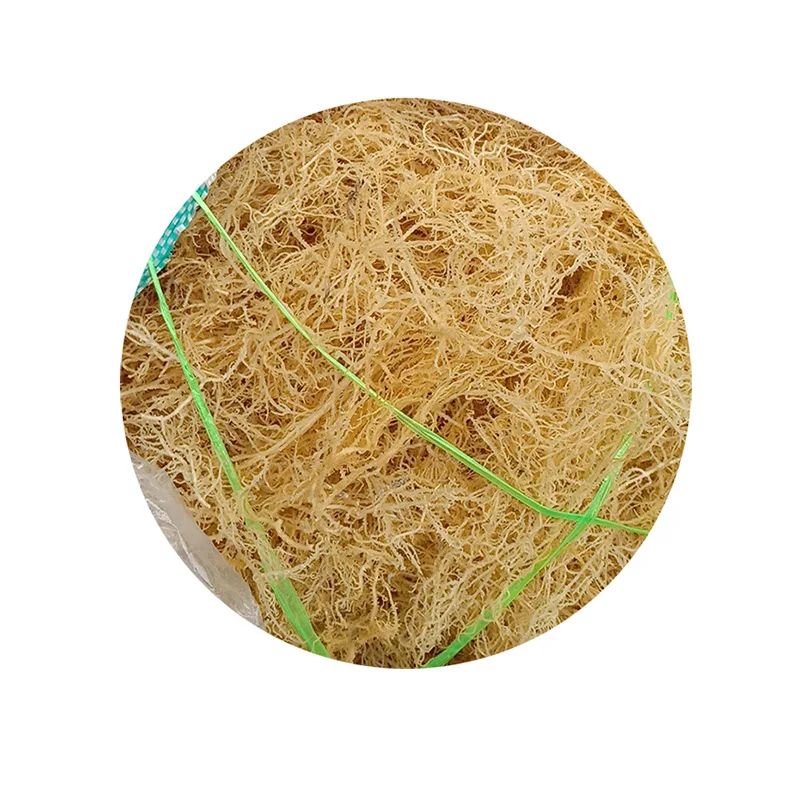 

Натуральный чистый настоящий сушеный морской мох, желтоватое сырье, дикая работа, ирландский морской Мох на продажу