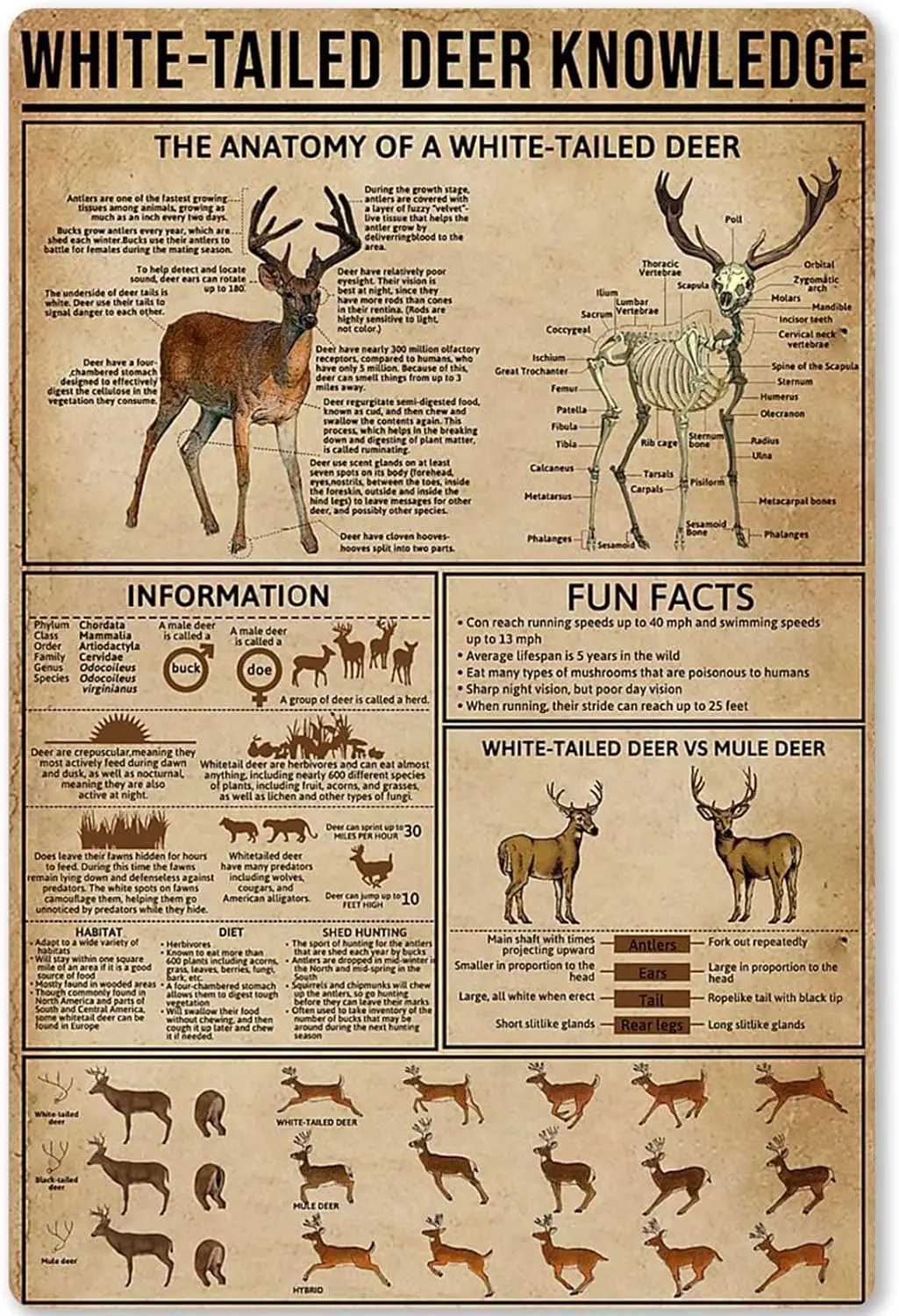 Металлическая жестяная вывеска с белым хвостом оленя охотничьи знания плакат