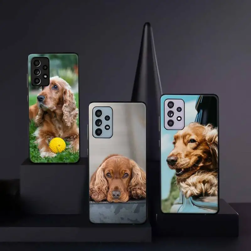 

Cocker Spaniels dog Cute animal Phone Case For Samsung galaxy A S note 10 12 20 32 40 50 51 52 70 71 72 21 fe s ultra plus