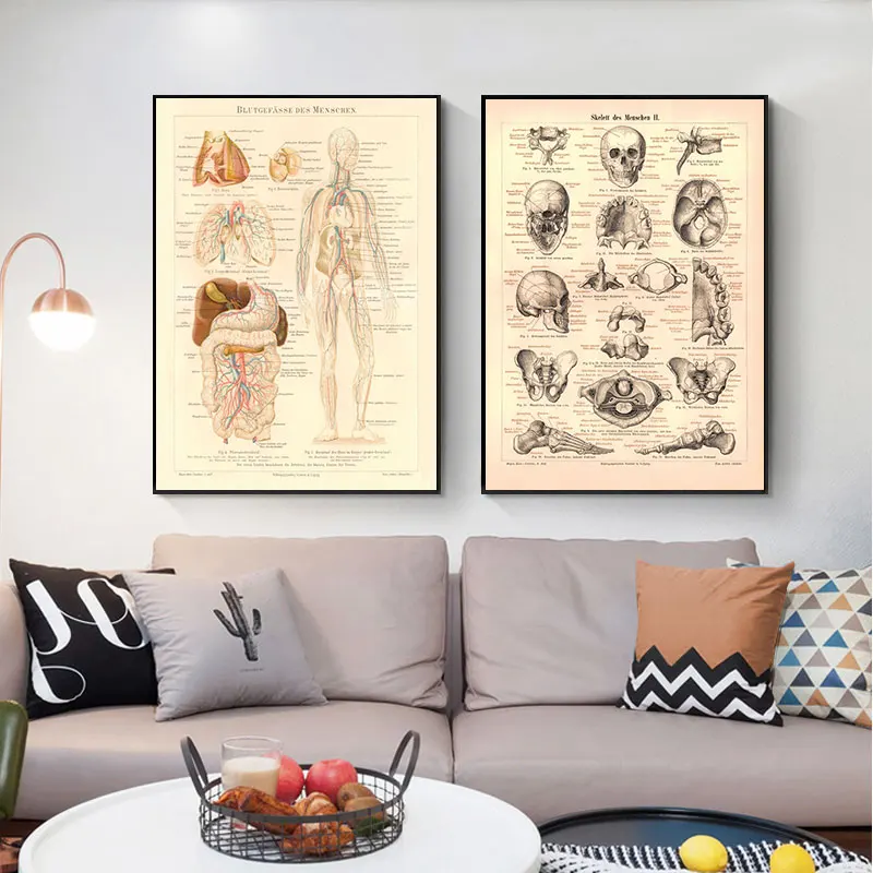 Постеры и печать на холсте с изображением человеческих сухожилий головы вены