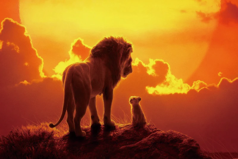 

Виниловый фон для детской фотосъемки с изображением Льва леопарда тигра леса животных листьев красных цветов