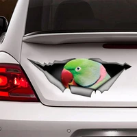 alexandrine parakeet decal rose ringed parakeet car decal funny car sticker rose ringed parakeet sticker