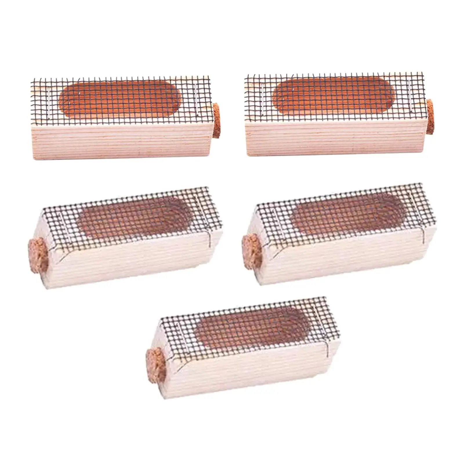 

5x Wooden Queen Bee Cage Transport Cage Moving Catcher Cage Beekeeping Equipment for Queen Rearing Beekeeping