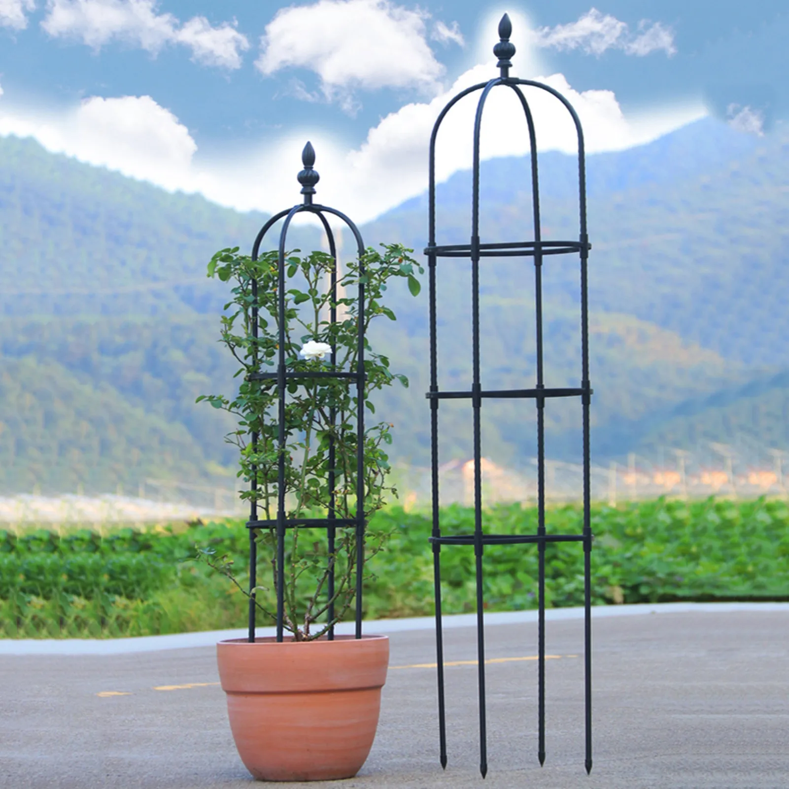 1PC Iron Garden Obelisk Climbing Plant Flowers Steel Frame Trellis Vines Floral Decor Yard Round Weather-Proof Brand - купить по