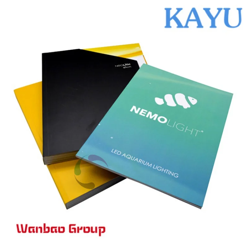 Рисунок 4 - Профессиональная недорогая брошюра/Каталог/журнал