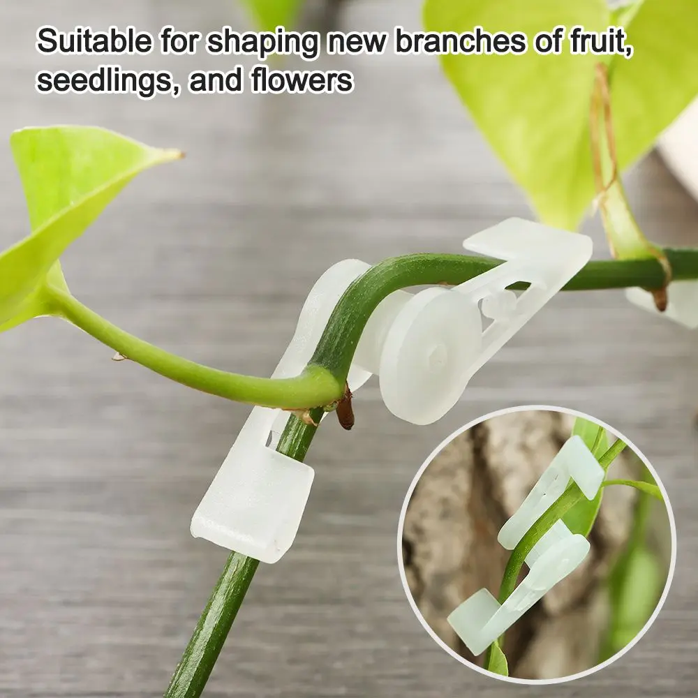 

Degree Plant Bender Luminous Clip for Low Stress Adjustable LST Plant Bender Regular Clip to Allow More Light and Air Flow