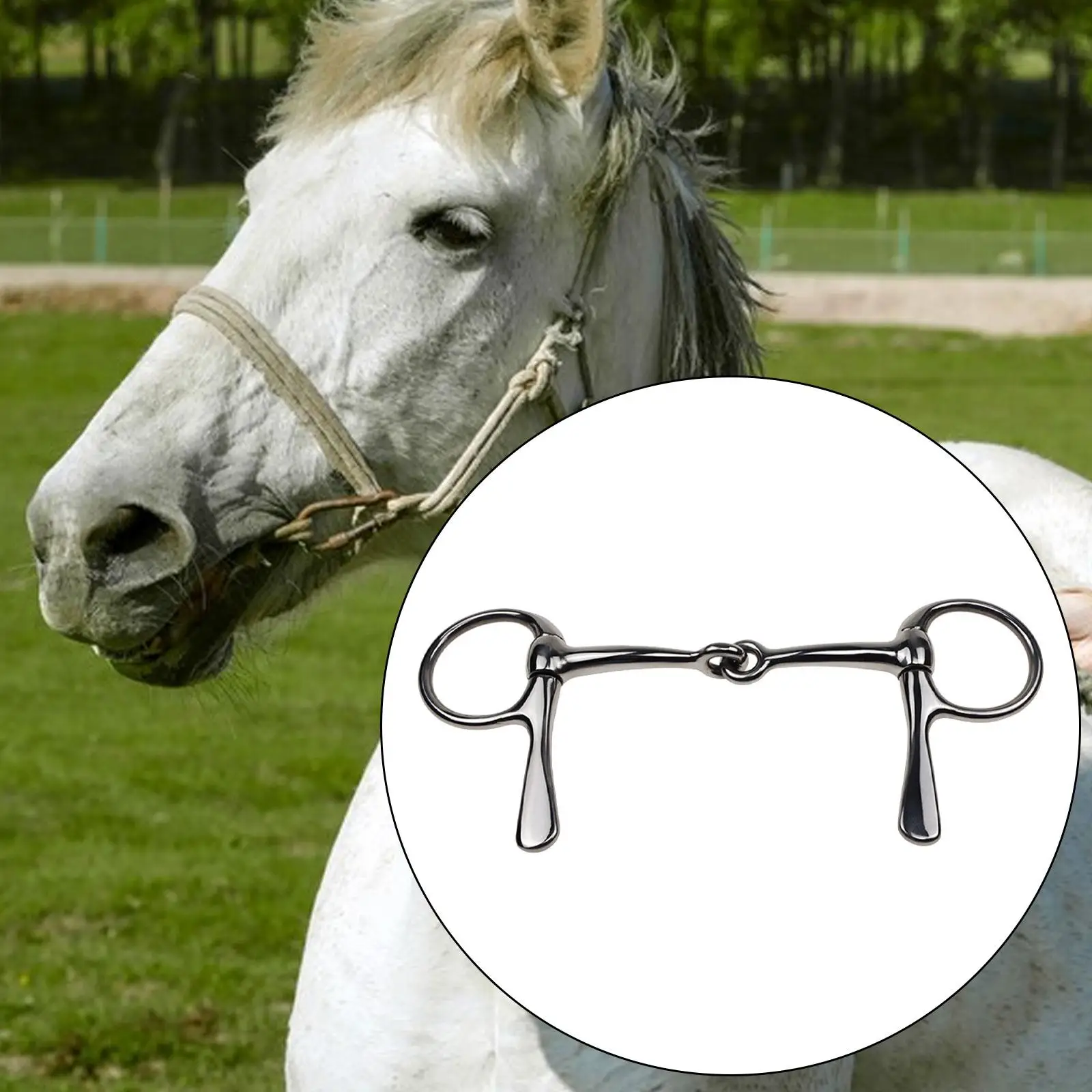Horse Bit Mouth Training Tool for Horses Mules Bridle