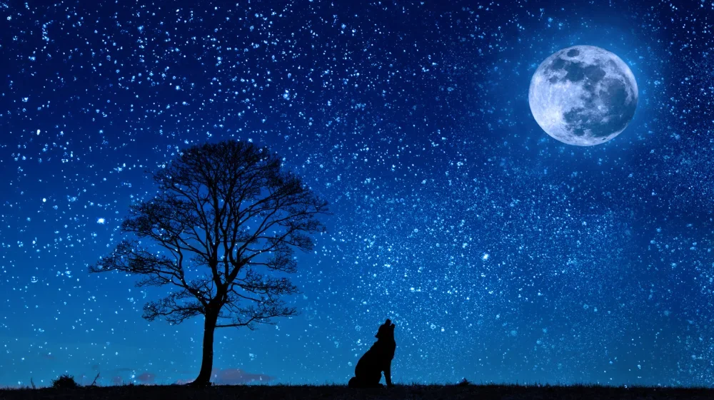 

room decor Wolf moon pattern tapestry