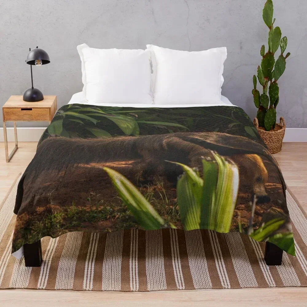 Одеяло Anteater декоративные термоодеяла