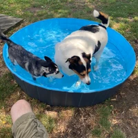 collapsible pet dog swimming pools outdoor swimming pool for large small animal