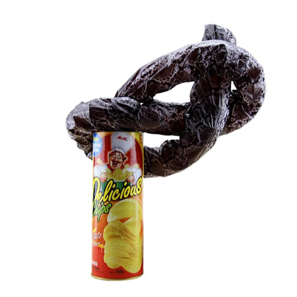 

Змея из картофельных чипсов может прыгнуть, змея, подарок, искусство страха, шутки в баночке, Подарочный медведь