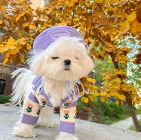 dog clothes purple flower autumn and winter clothes stretch method schnauzer hiromi bichon teddy pet sweater cardigan