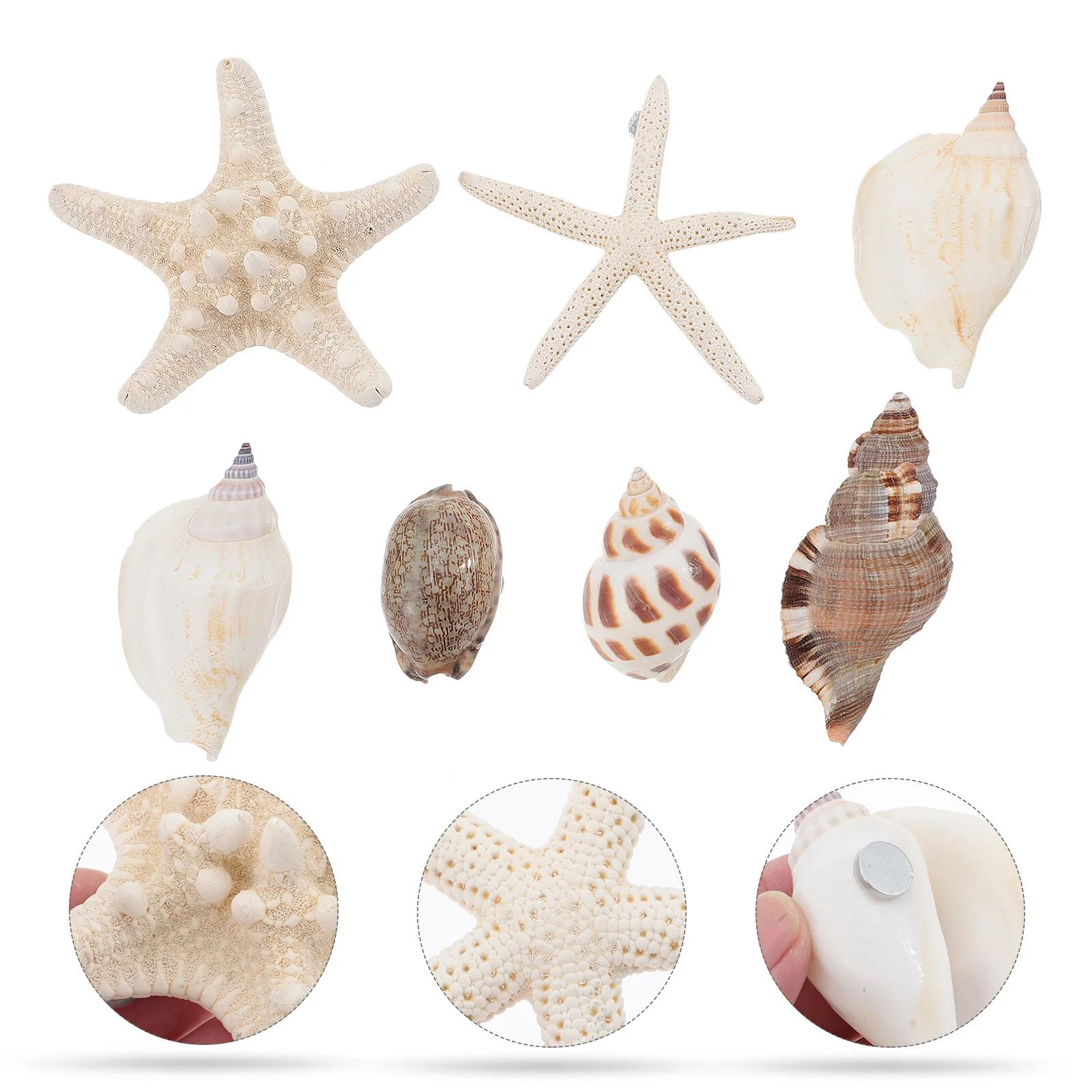 

7 PCS Shell Magnets Sticker Decal Family Car Decals Summer Crafts Kids Seashell Stickers Fridge Small