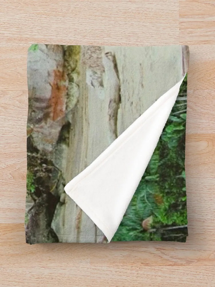 Бако Национальный парк София Малайзия Плед Одеяла Для Диванов Пляжные Волосы