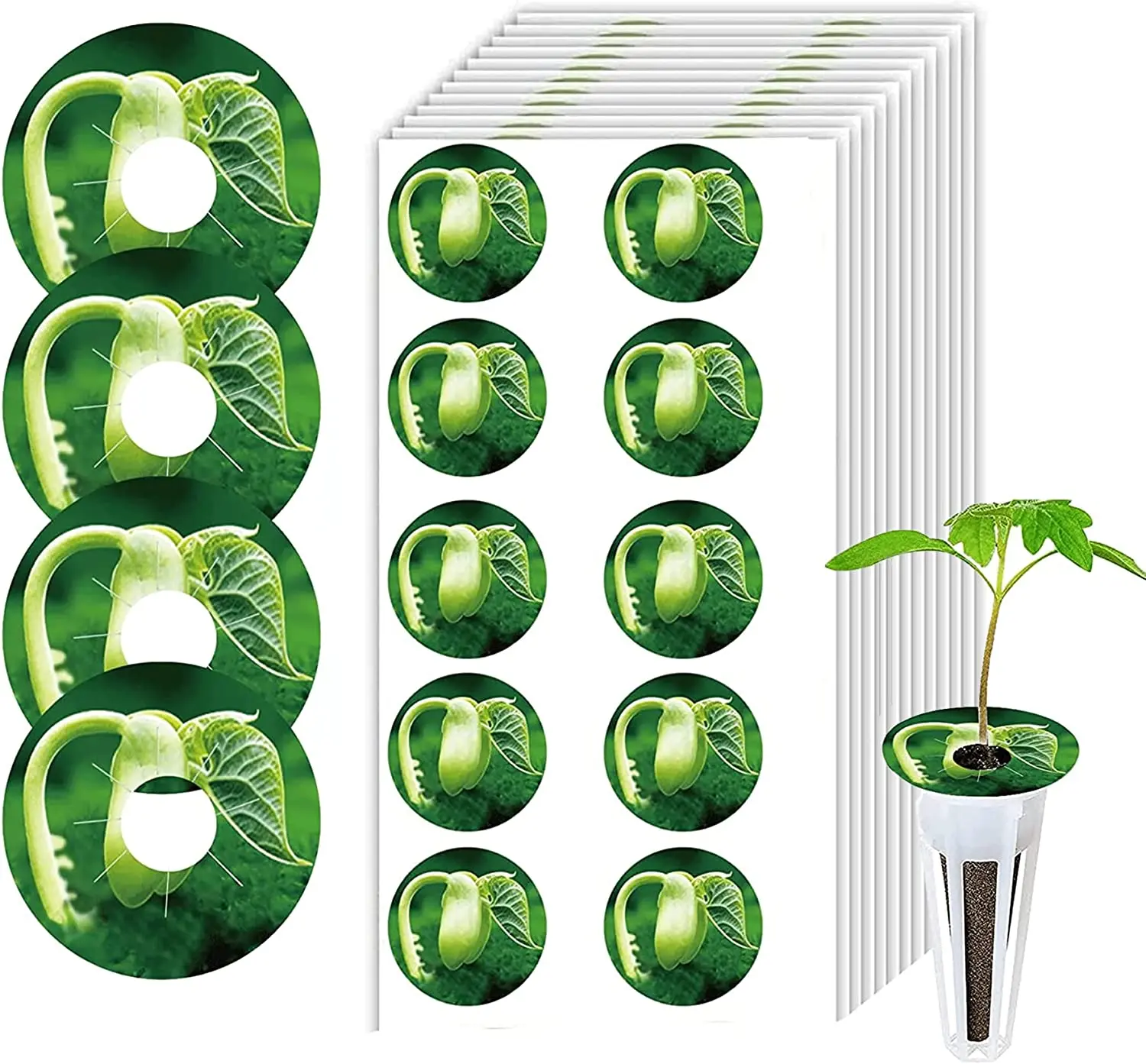 100 pcs Anti-moss Seed Pot L abels PVC Stickers Peel and Stick Hydroponic Tags ForAerogarden Seed Pods Garden Plant Grow Basket