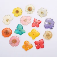 new candy color flat resin real dried flowers pressed diy making geometric shape earrings pendant for women jewelry wholesale