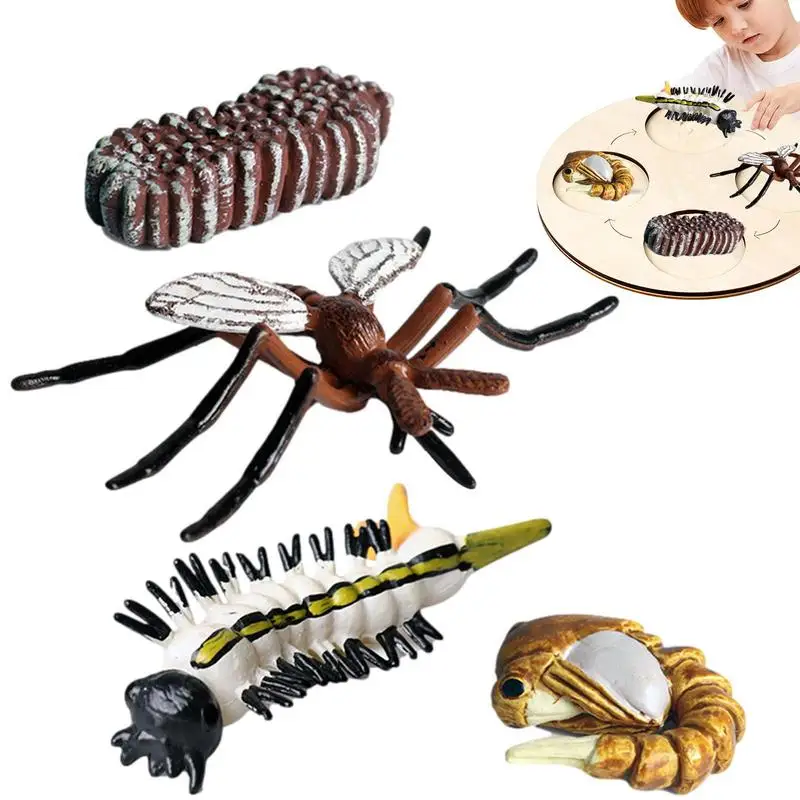 

Реалистичные фигурки животных в виде насекомых для детей, Обучающие игрушки, подарок для детей 3 лет, мальчиков, девочек, малышей