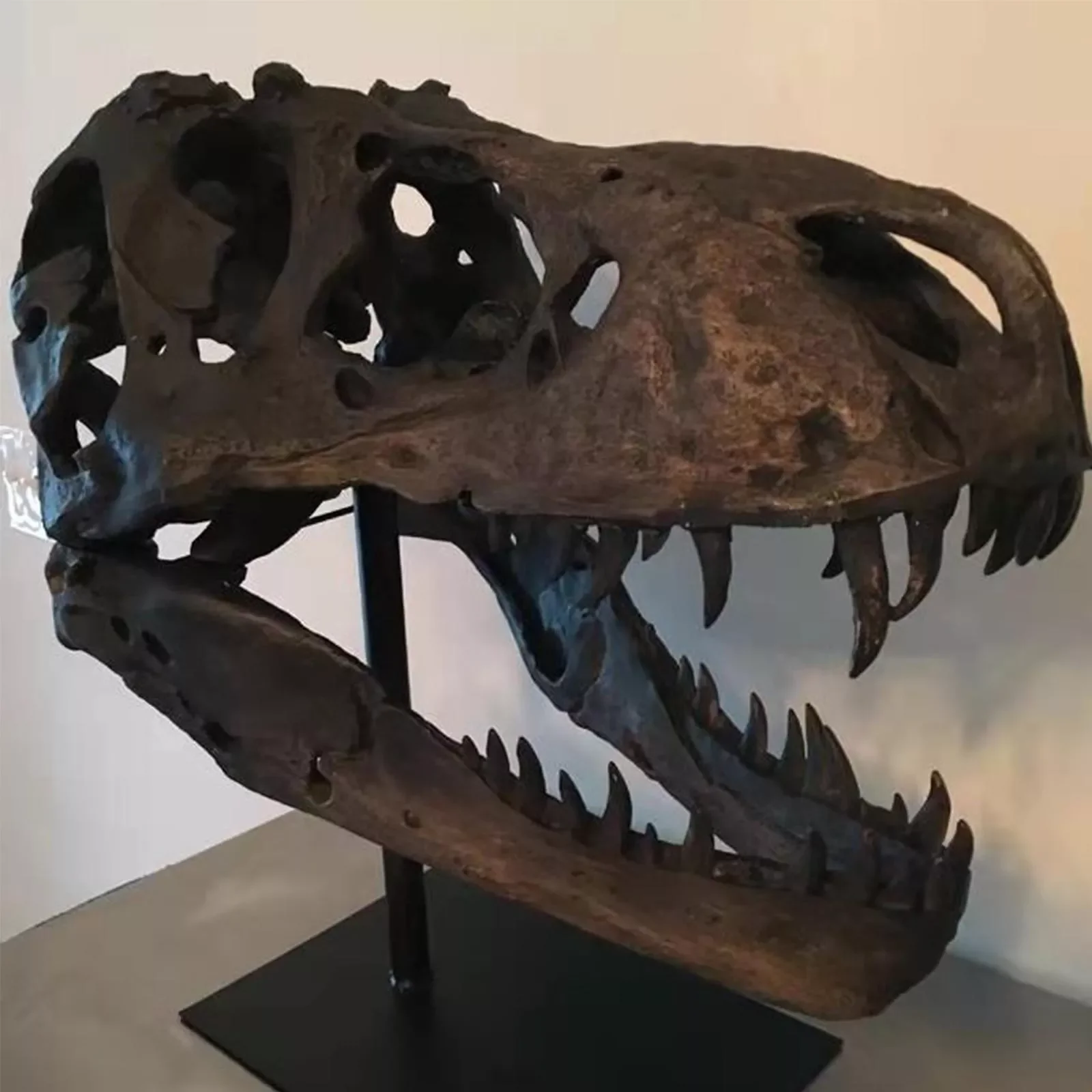 

Replica Dinosaur Skull Resin Animal Skeleton Ornament Haunted House Dinosaur Statue Home Decoration accessories For Living Room