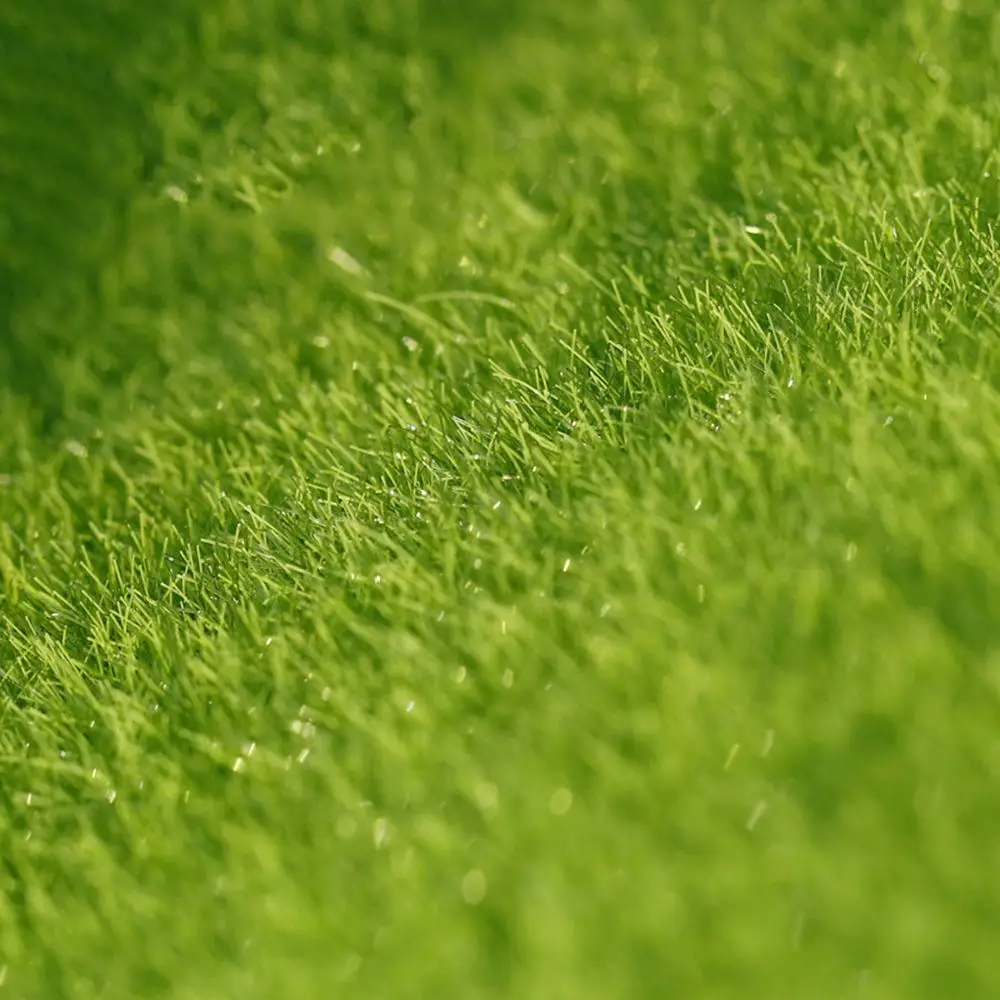 

Миниатюрные криперы для растений из дерева, темно-зелёный, зелёный, 1 коробка