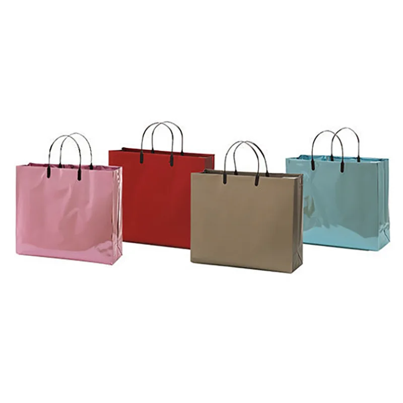 

10pcs PVC Plastic Hand Bag Holiday Party Wedding Birthday Set Gift Bag Business Wholesale Package Clothing Shoes Shopping Bags