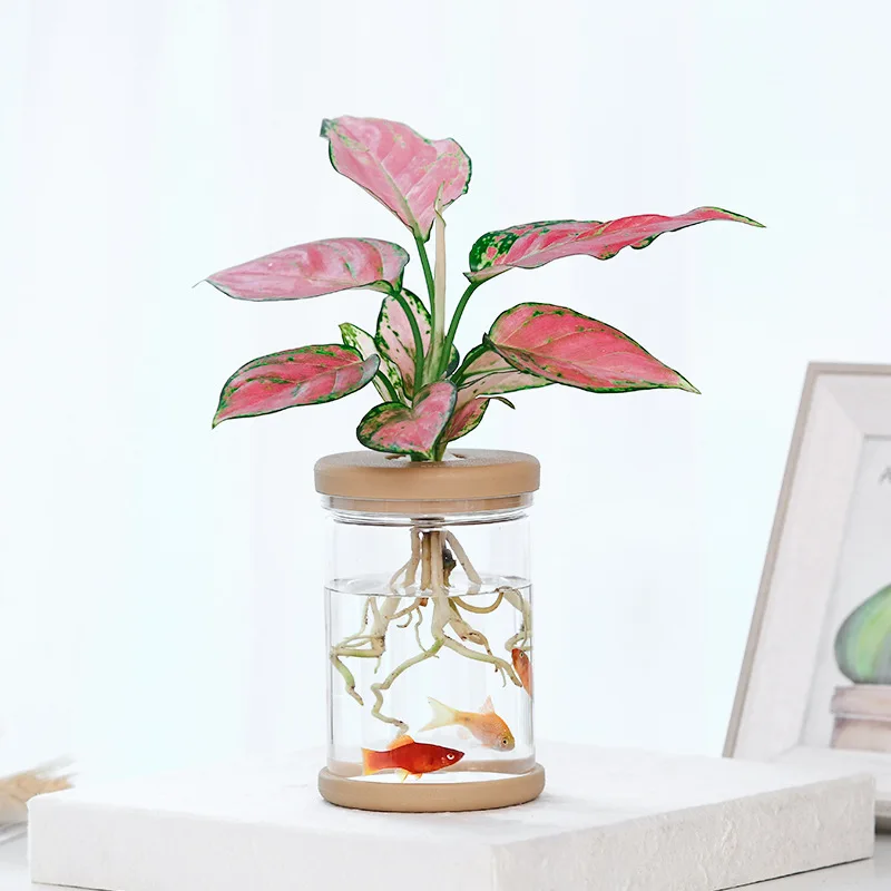 

Transparent Hydroponic Flowerpot Imitation Glass Soilless Planting Potted Green Plant Resin Flowerpot Home Vase Decoration