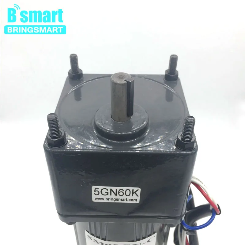 Мотор-редуктор BringSmart 5M90GN-C с высоким крутящим моментом и низким оборотом в минуту