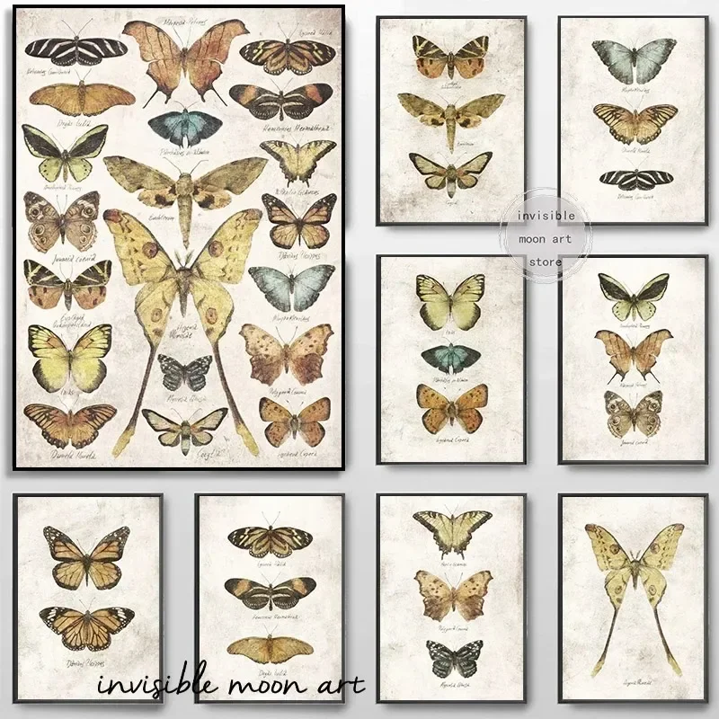 Классический стиль Danaus Plexippus бабочка и насекомое художественный принт на холсте