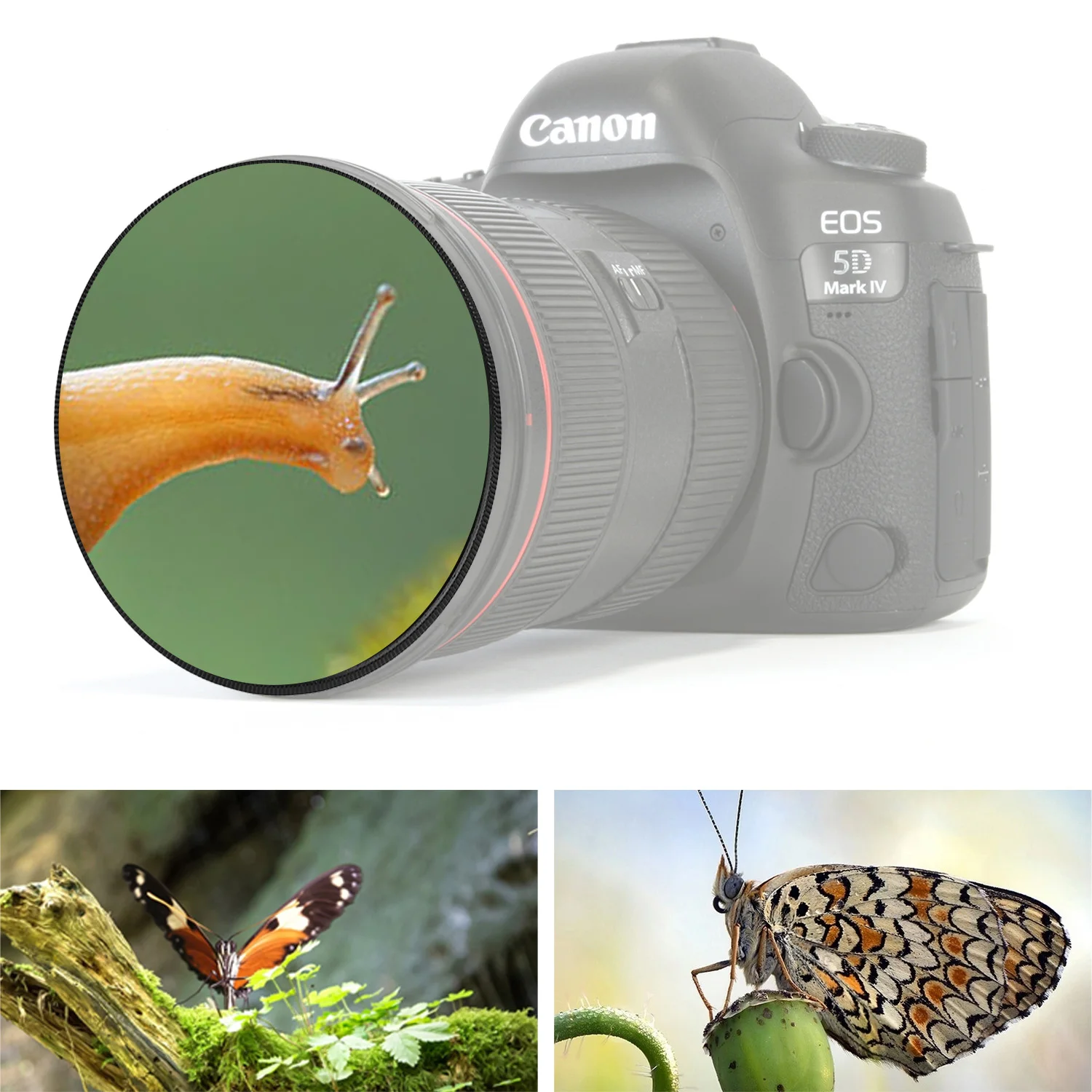 

49mm/52mm/58mm/62mm/67mm/72mm 0.45X Ultra Wide Fisheye Lens + Macro Lens PHD Circular Camera Lens