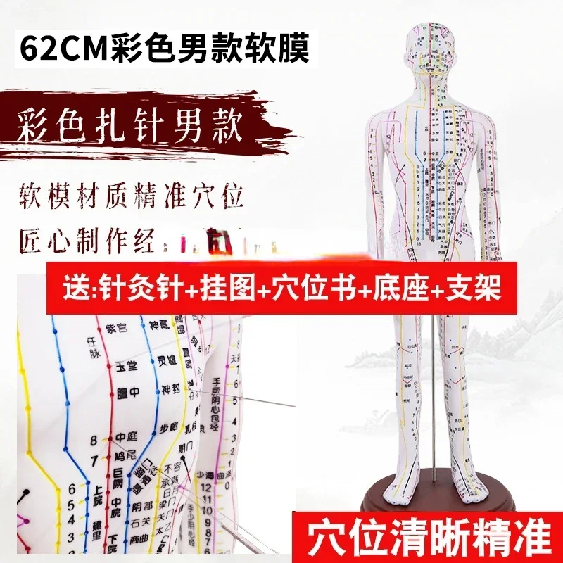 Модель человеческих акупунктурных точек и меридианов из двух бронзовых фигурок