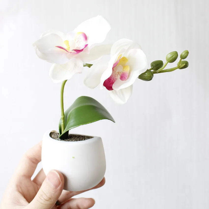 

Mini Fridge Magnets Artificial Bonsai Green Succulent Orchid Plants Fake Flower Home Decoration Blackboard Magnetic Stickers