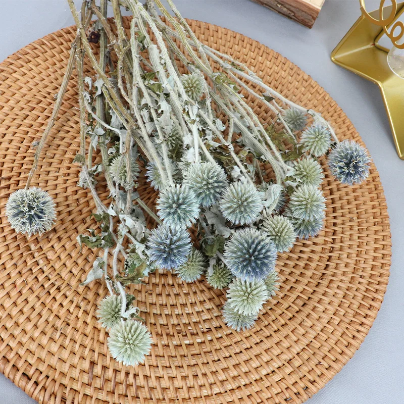 

Dried flower blue planet