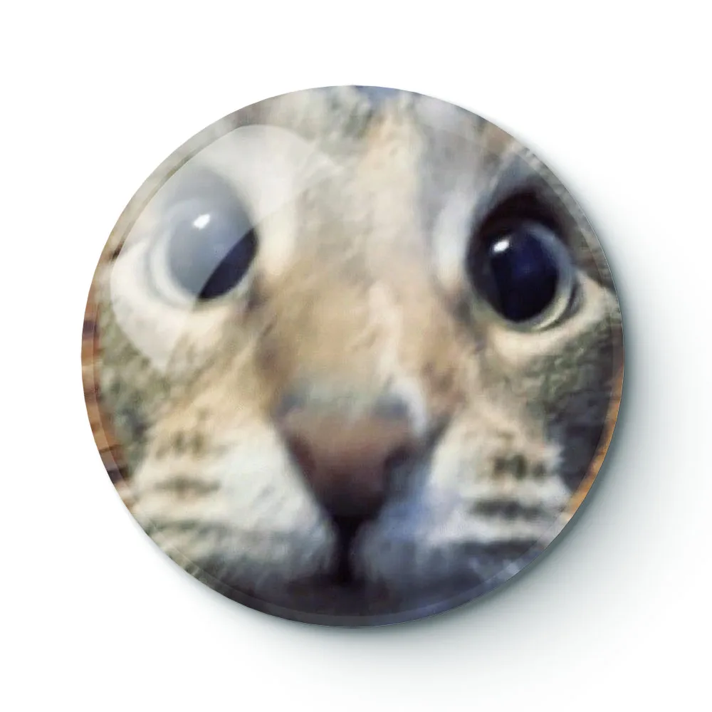 

CAT MEME 021 Buttons Brooches Pin Jewelry Accessory Customize Brooch Fashion Lapel Badges