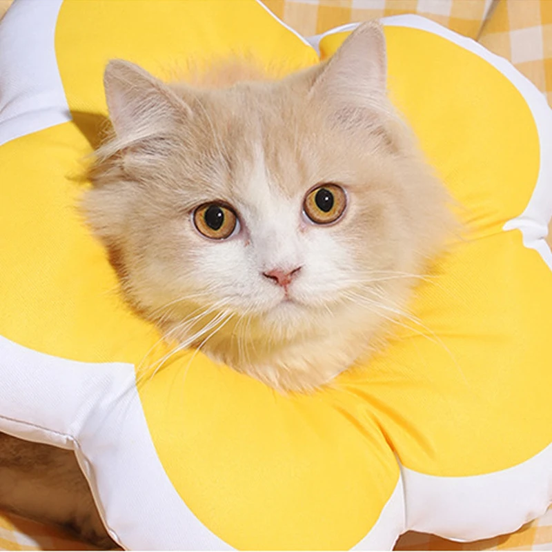 Регулируемый головной убор Элизабет водонепроницаемый защитный шейный ошейник