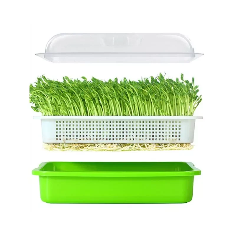 

Seed Sprouter Tray BPA Free PP Soil-Free Large Capacity Healthy Wheatgrass Grower with Cover Seedling Sprout Plate Hydroponic Co