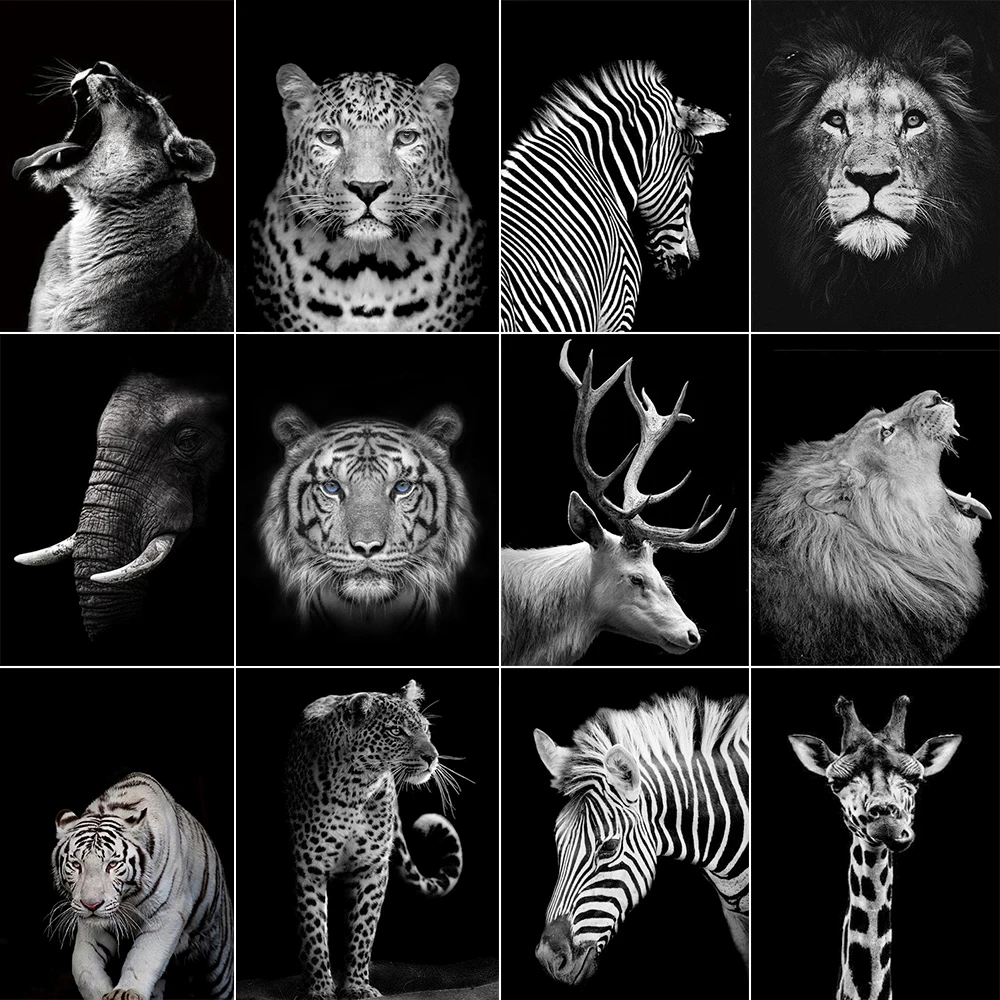 

5D Diamond Mosaic Black and White Lion Tiger Square Round DIY Animal Diamond Embroidery Cross Stitch Handmade Home Decoration