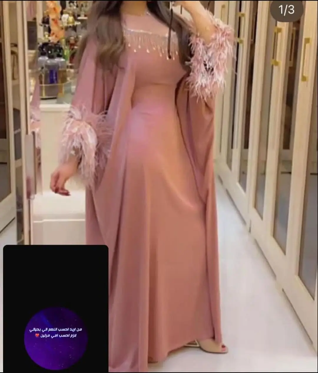 

Arabia Long Sleeves Prom Dresses With Feathers Customizable A-Line V-Neck Women Elegant Party Gown Formal Evening Dresses