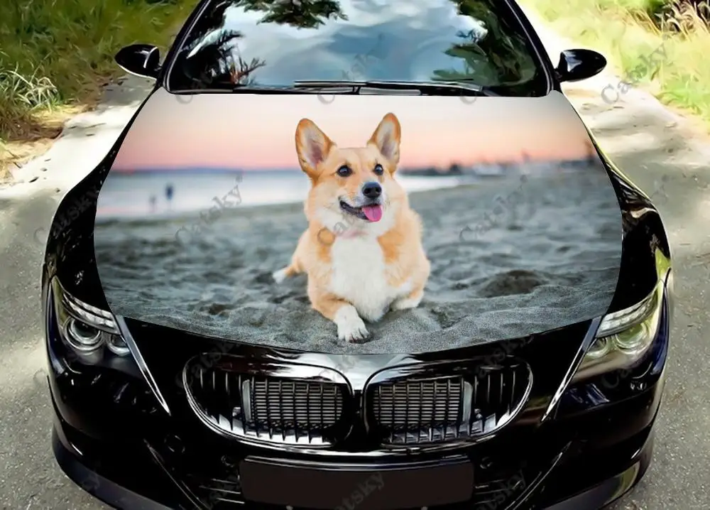 

Corgi Dogs on The Beach Car Hood Vinyl Sticker Wrap Vinyl Film Engine Cover Decal Sticker Universal Size Car Hood Protect Film