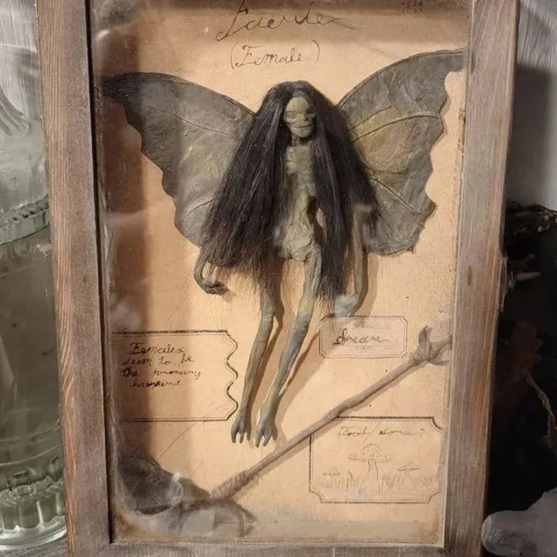 

Mummified Fairy In Display Box Wooden Wear-resistant Skeleton Witchy Decor Fairy Specimen Photo Frame Gothic Home Decor