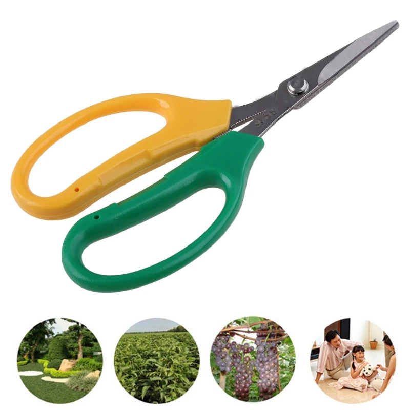 

Durable Picking Tree Super Practical Pruning and Garden Branch Alice Garden Scissors Cutting Tool