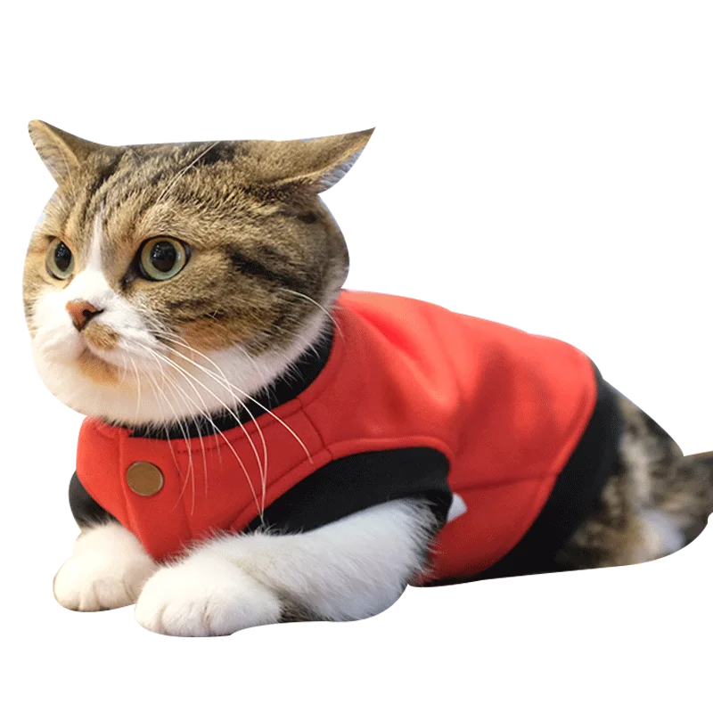 

Теплые куртки, одежда для домашних животных, одежда для собак, одежда для собак, Комбинезоны для собак, зимние милые и удобные вещи для собак,...