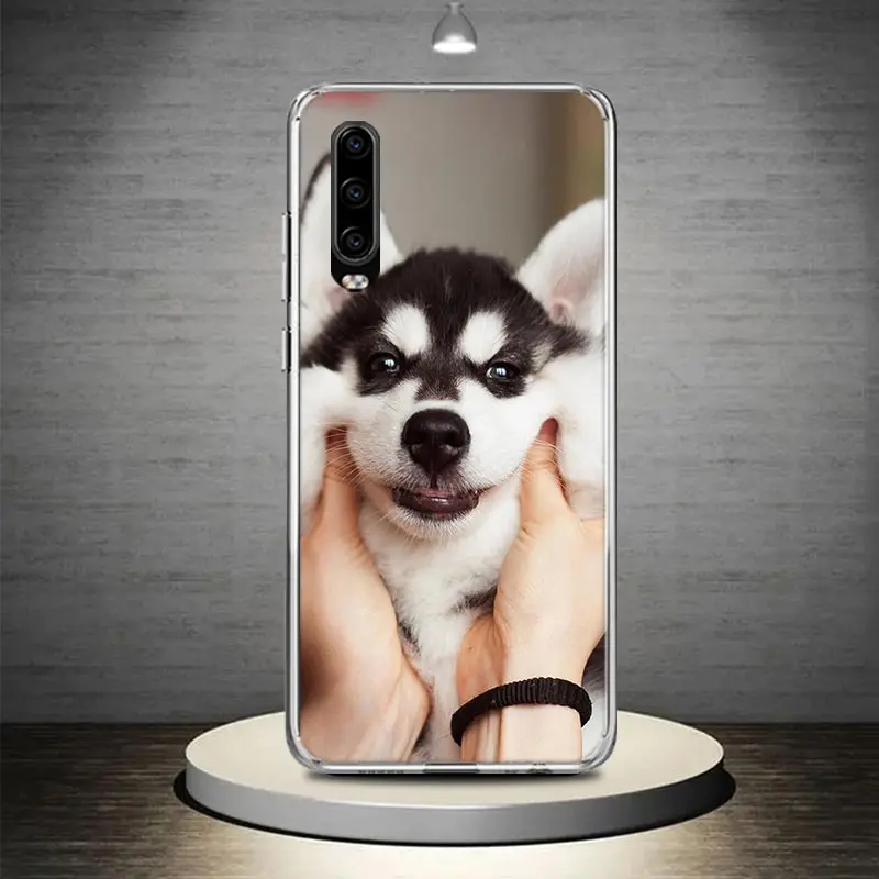 Чехол для телефона Huawei P30 P40 P10 P50 P20 Lite P Mate 10 20 30 40 Pro + чехол с художественным