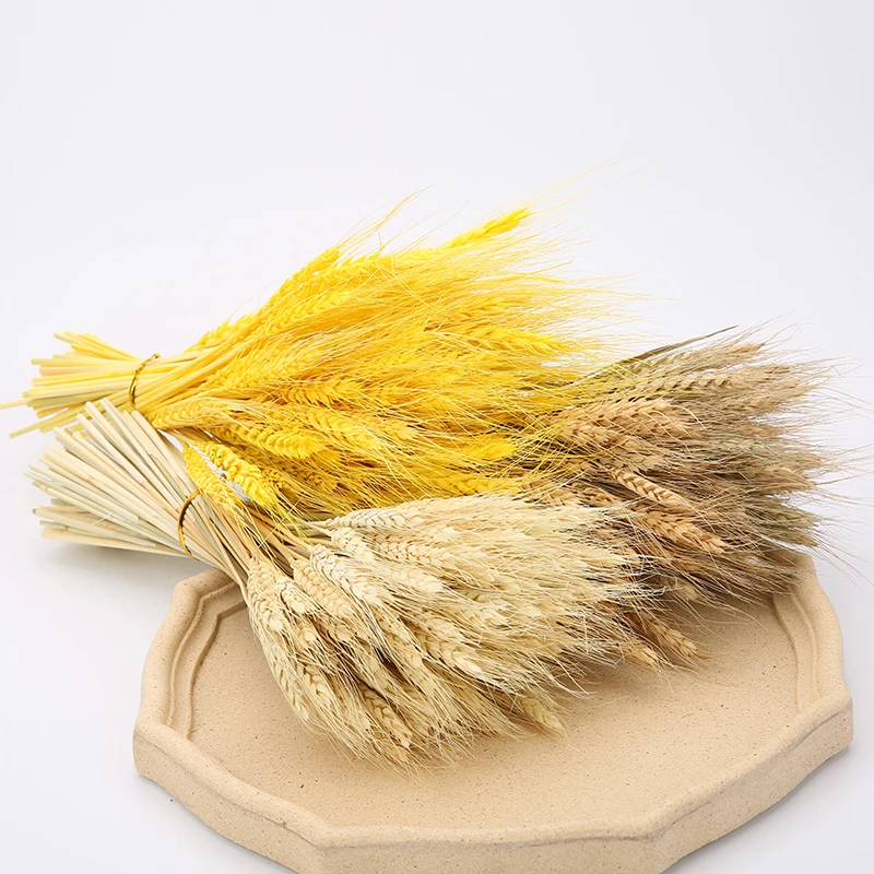 

50 Stems/set Natural Wheat Ear Flower Dried Flowers For Wedding Party Decoration Living Room Decoration DIY Craft Wheat Bouquet