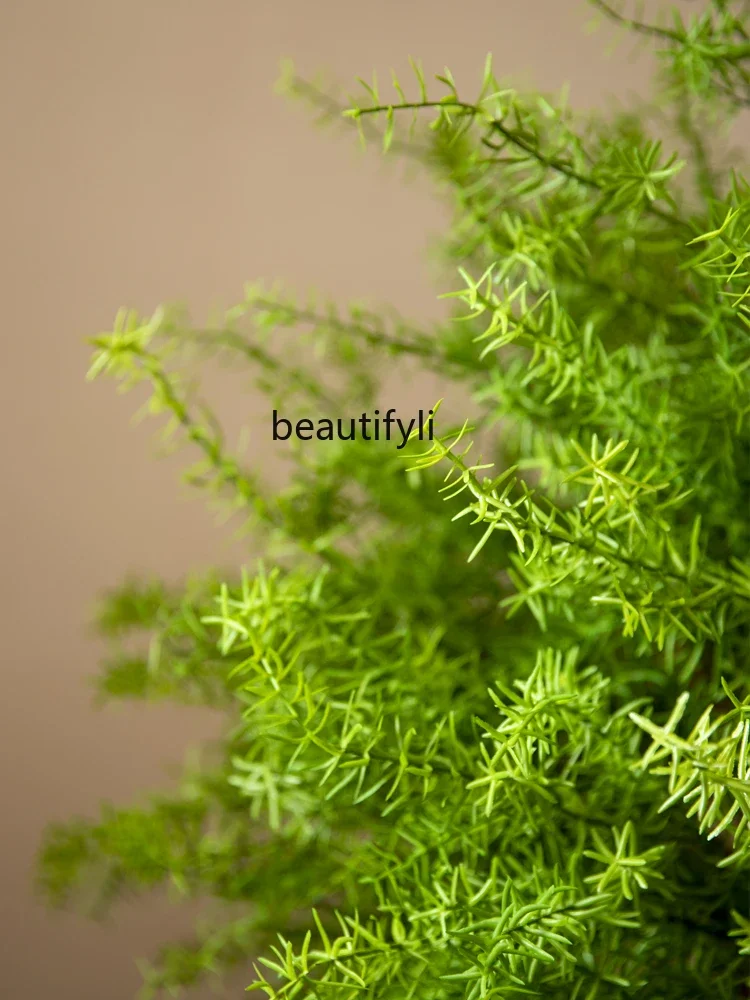 Искусственное зеленое растение искусственное дерево спаржа пол комнатное для