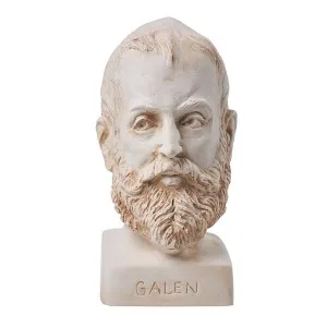 

Кремовая скульптура Galen Anadolu Efes Seljuk Hittite Sumer Troian Potbellied Tepe