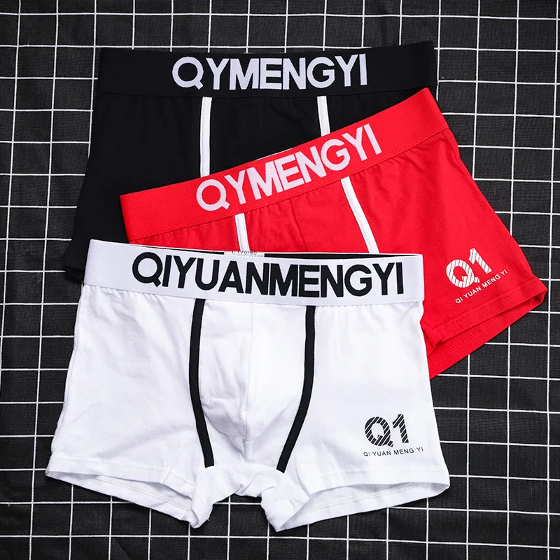 

Boxer Shorts Underpants Men's Panties Men Boxer Underwear Cotton Male Couple Sexy Soft Boxershorts 3D Pouch Panties Briefs XXXL